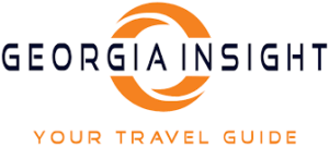 Georgia Insight logo