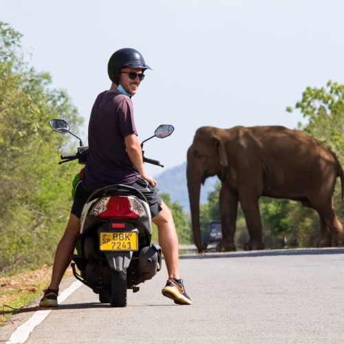 Bastian Maria mit einem Roller vor einem Elefanten